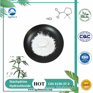 Motherwort Herb Extract Powder 98% Stachydrine Hydrochloride